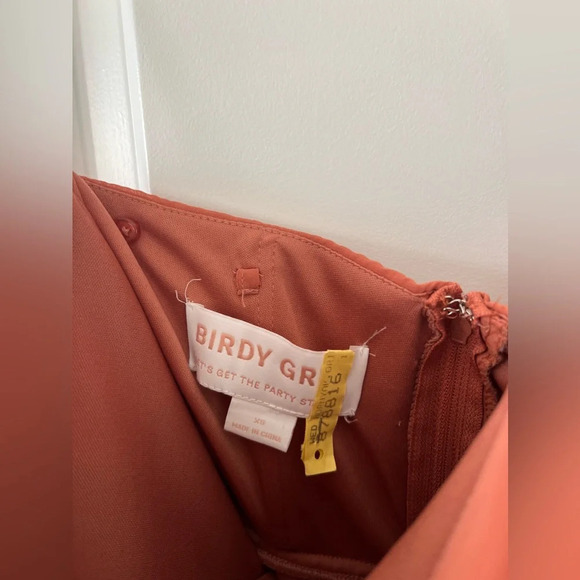 Birdy Grey Strapless Prom Maxi Bridesmaid Wedding Guest Dress August Terracotta - Picture 6 of 12